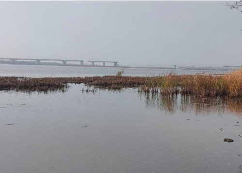 антоновский мост жд антоновский мост жд